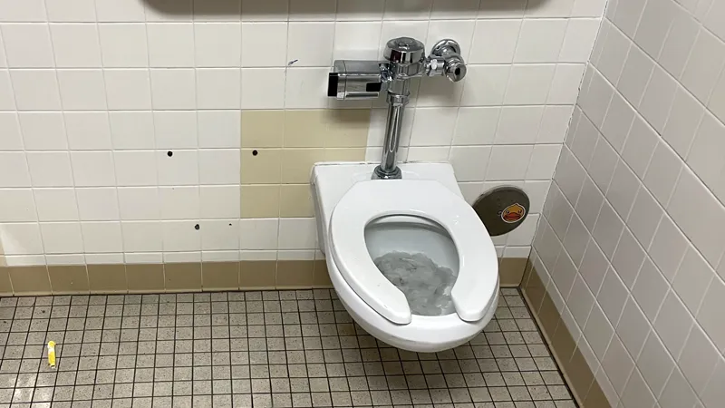 Toilet-Blockage Toilet Blockage